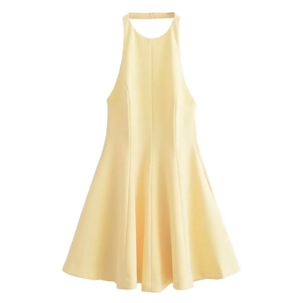 HH Women Summer Fashion Solid Halter Neck Zipper Backless Beach Party Dress Female Chic Sexy Sleeveless Backless Mini Dress