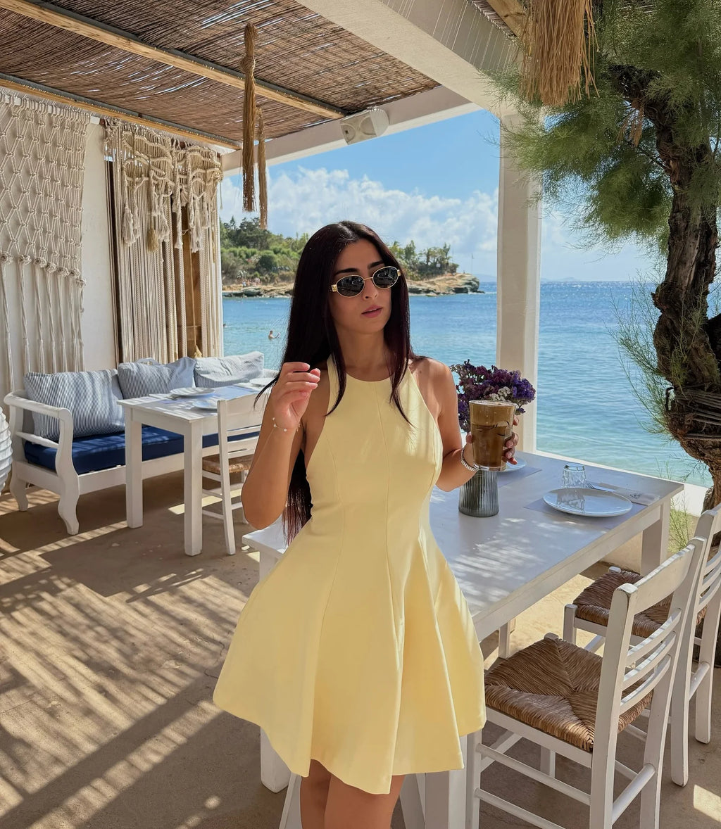 HH Women Summer Fashion Solid Halter Neck Zipper Backless Beach Party Dress Female Chic Sexy Sleeveless Backless Mini Dress